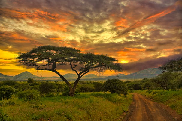 sunrise in Tsavo East National Park Tsavo West and Amboseli