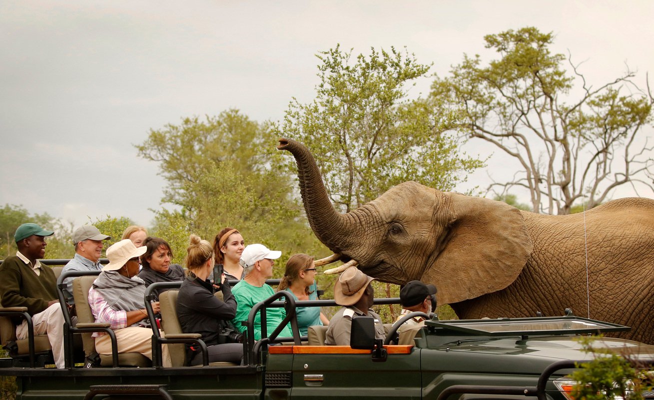 safari-vehicle-kruger-istock