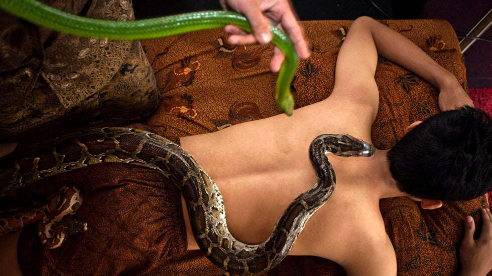 snake-massage