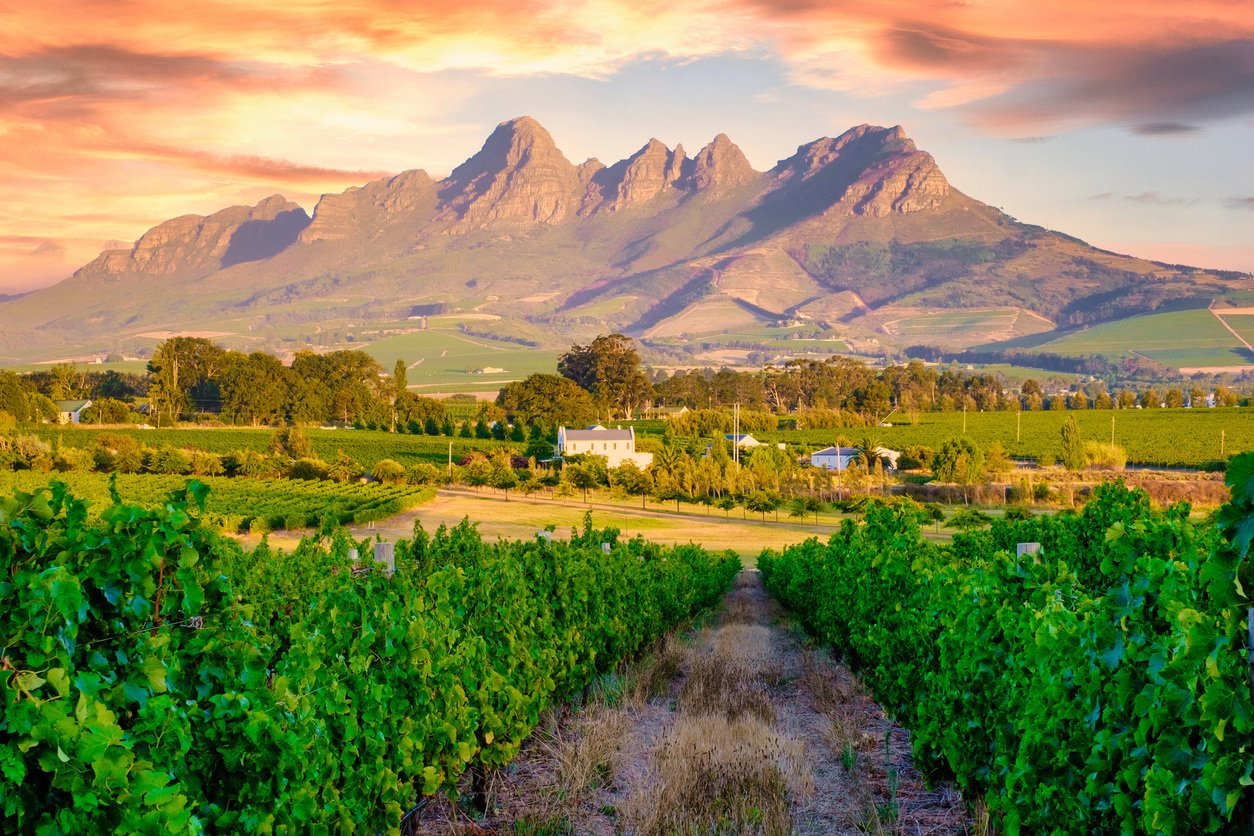 stellenbosch-istock